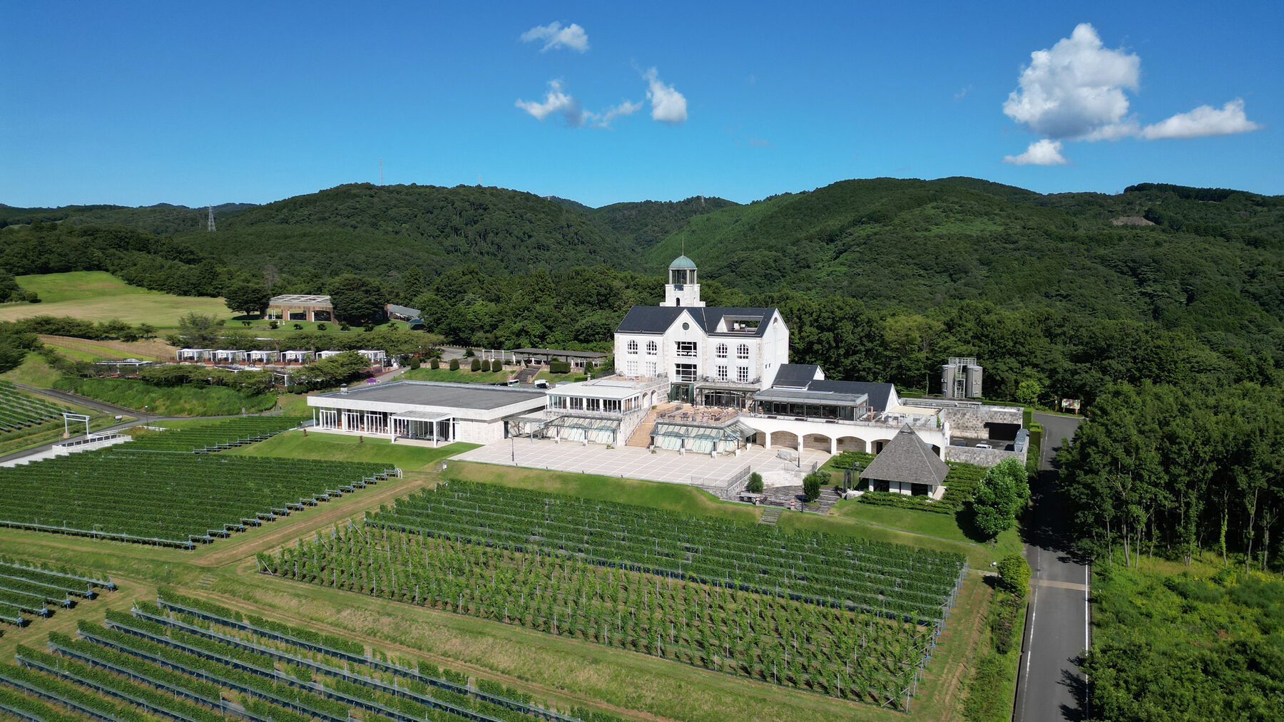 Chateau T.S — Winery Tour
